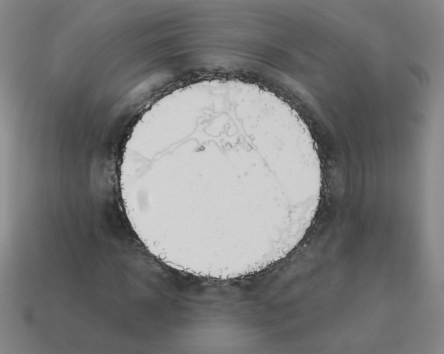 X0000113240918200910221057
