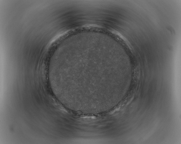 X0000113240919200910221057