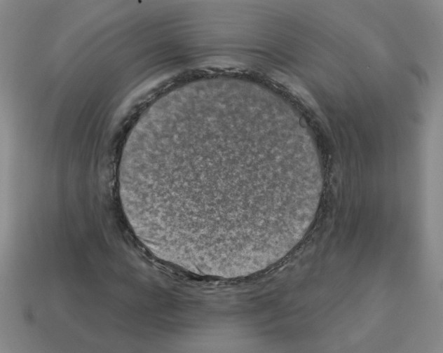 X0000113240920200910221057
