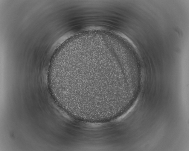 X0000113240921200910221057