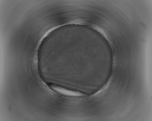 X0000113240923200910221057