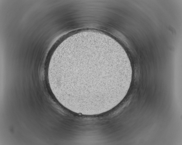 X0000113240924200910221057