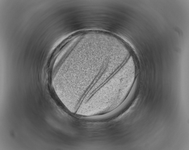 X0000113240925200910221057