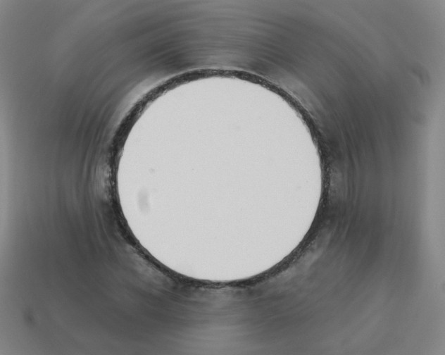X0000113240926200910221057