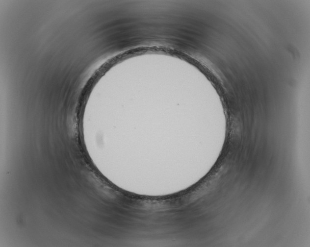 X0000113240927200910221057