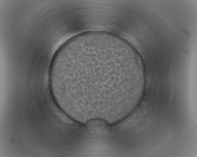 X0000113240928200910221057
