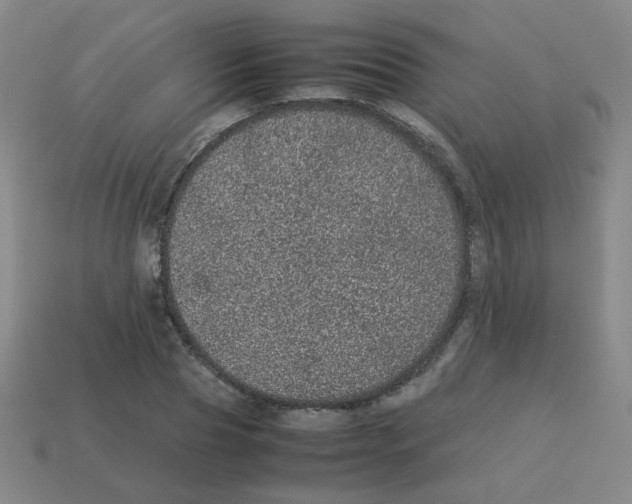 X0000113240929200910221057