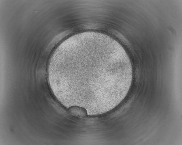 X0000113240930200910221057