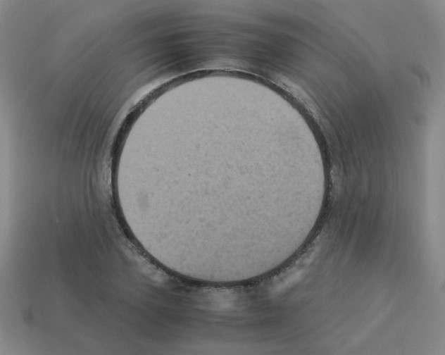 X0000113240931200910221057
