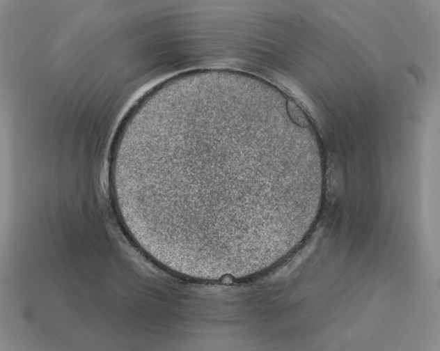 X0000113240932200910221057