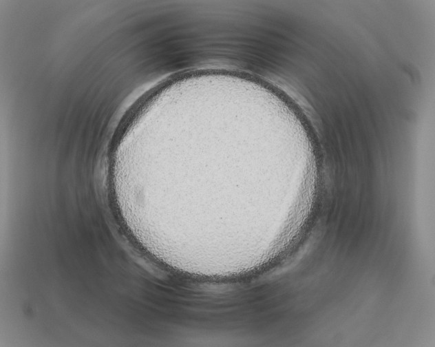 X0000113240933200910221057