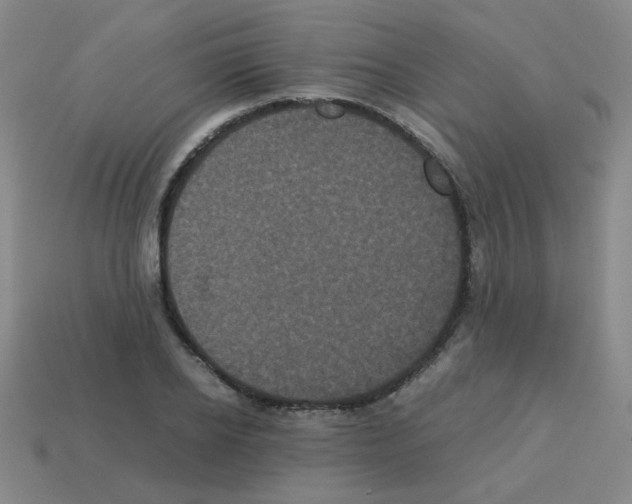 X0000113240934200910221057