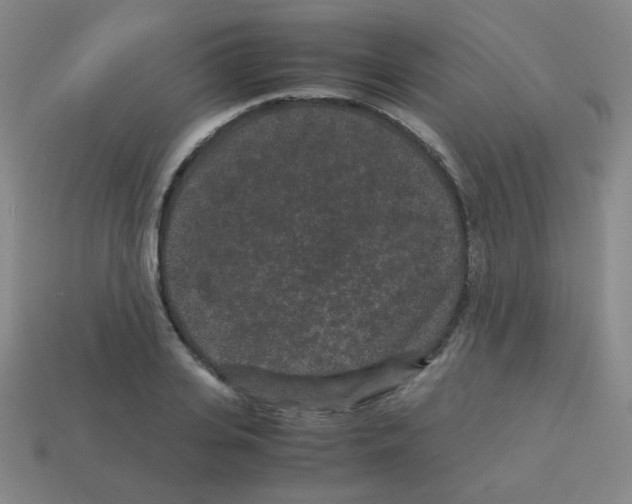 X0000113240935200910221057