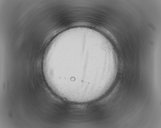 X0000113240937200910221057