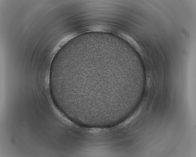 X0000113240938200910221057