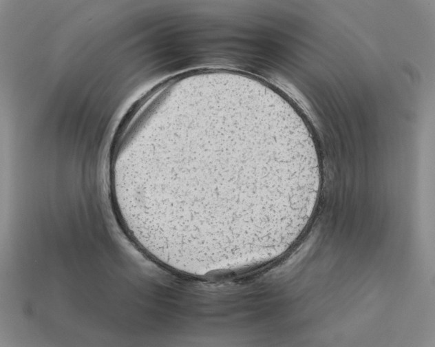 X0000113240939200910221057