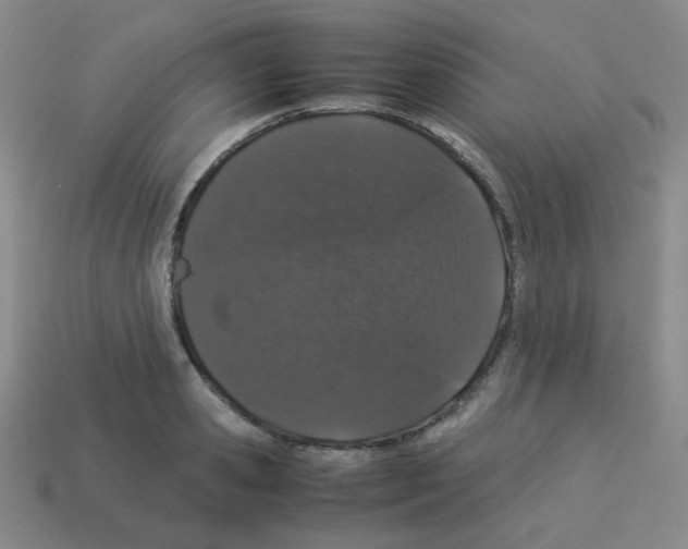 X0000113240941200910221058