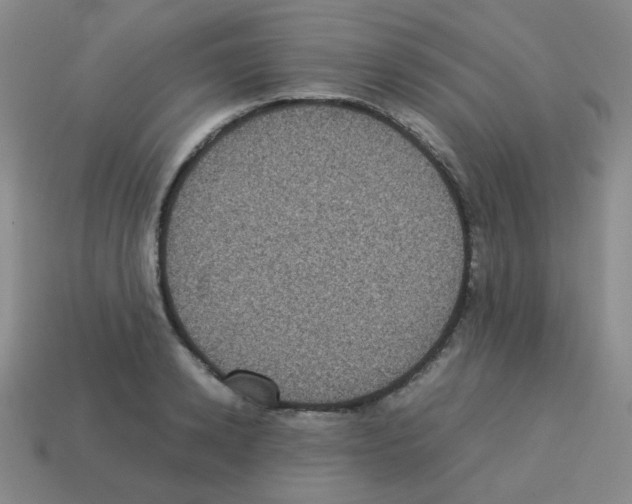 X0000113240942200910221058