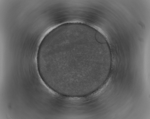 X0000113240943200910221058