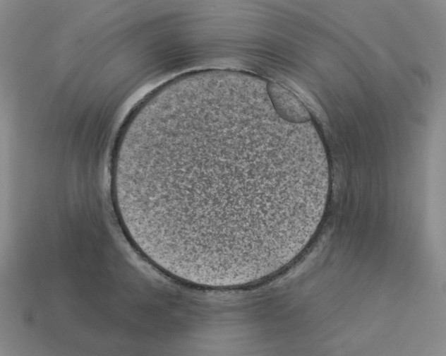 X0000113240944200910221058