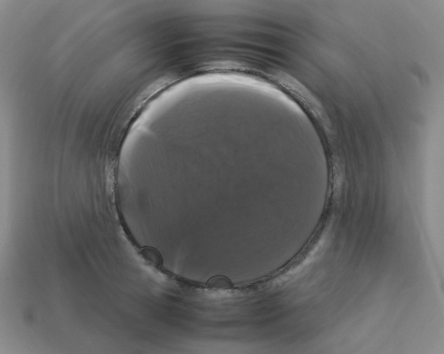 X0000113240945200910221058