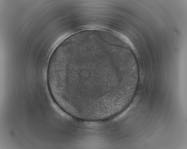 X0000113240946200910221058