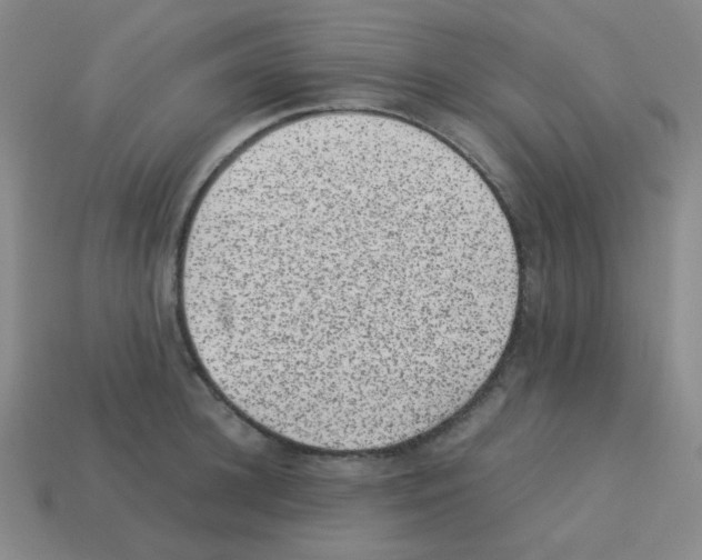 X0000113240948200910221058