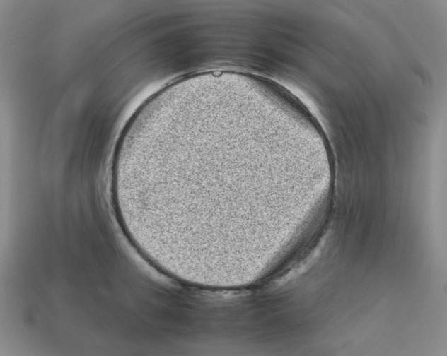 X0000113240949200910221058