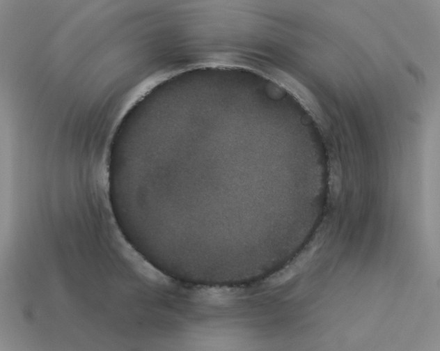 X0000113240950200910221058