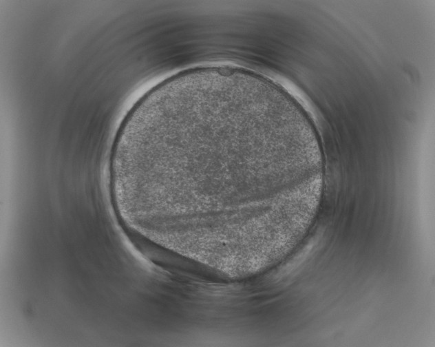 X0000113240951200910221058