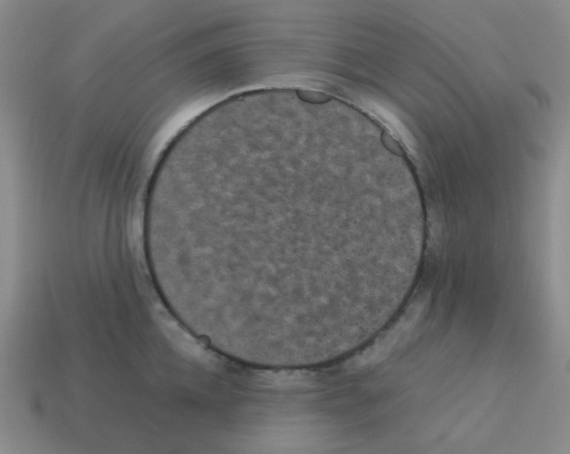 X0000113240952200910221058