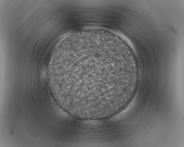 X0000113240953200910221058