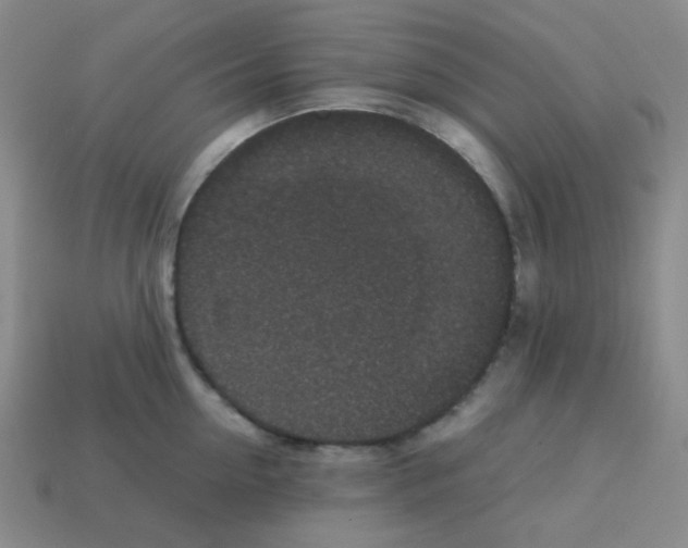 X0000113240954200910221058