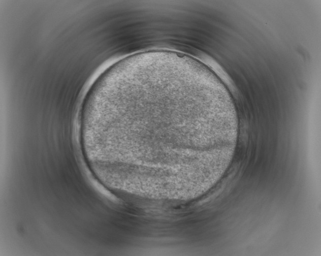 X0000113240955200910221058
