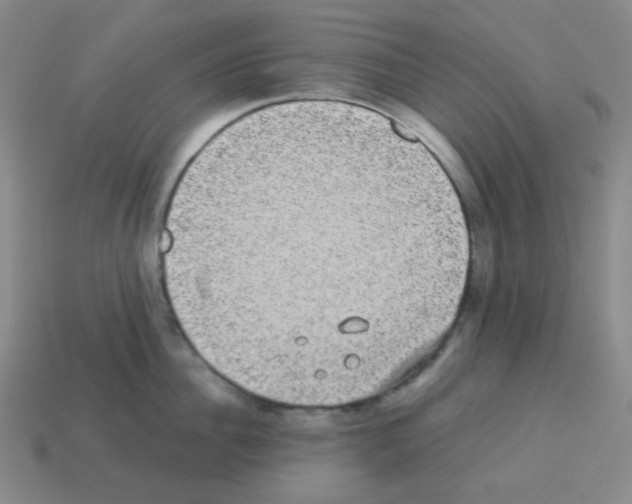 X0000113240956200910221058