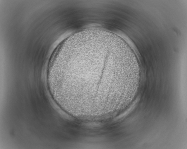 X0000113240957200910221058