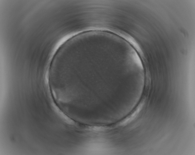 X0000113240958200910221058