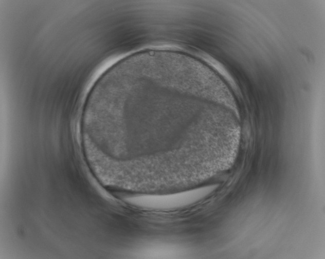 X0000113240959200910221058