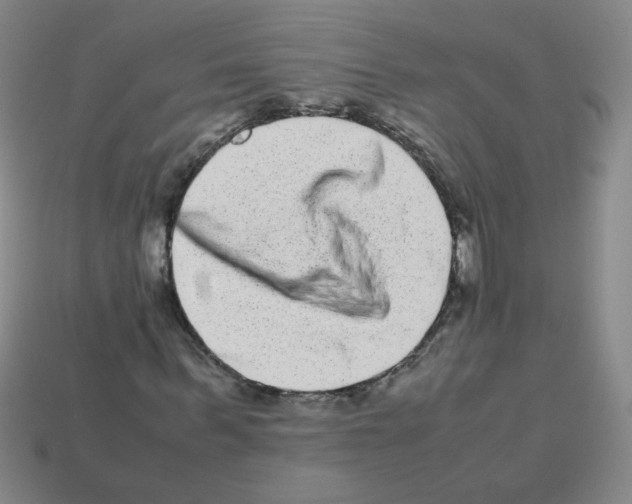 X0000113240963200910221057