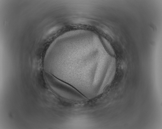 X0000113240965200910221057