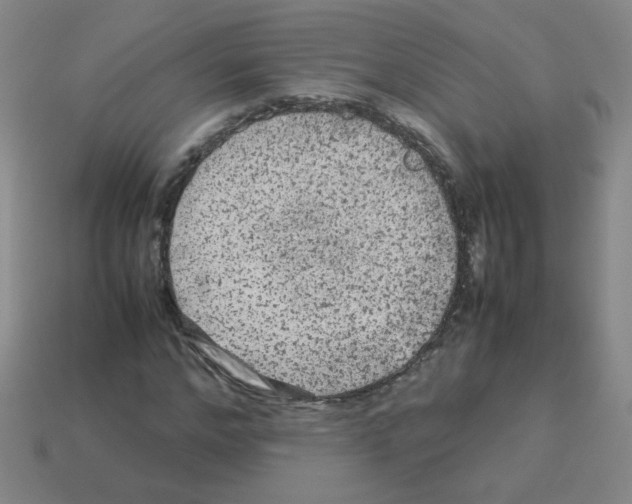 X0000113240968200910221057