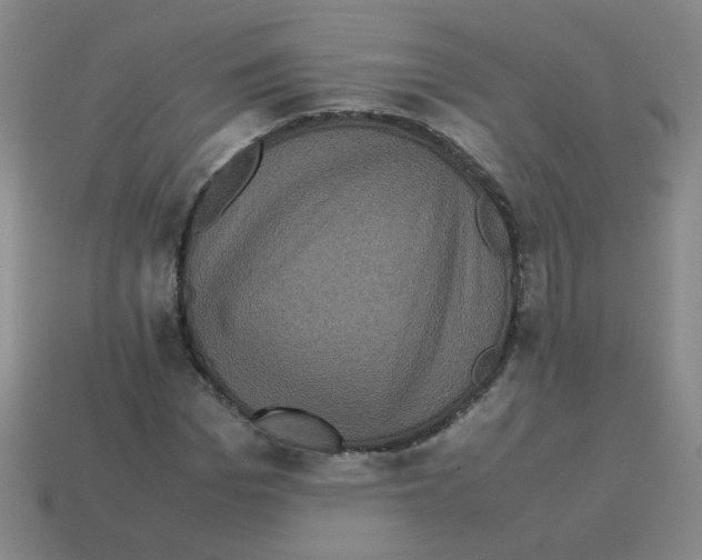 X0000113240969200910221057