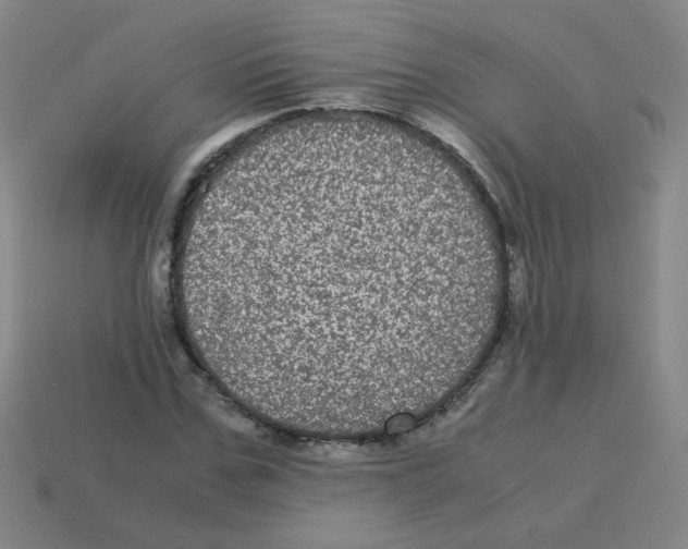 X0000113240971200910221057