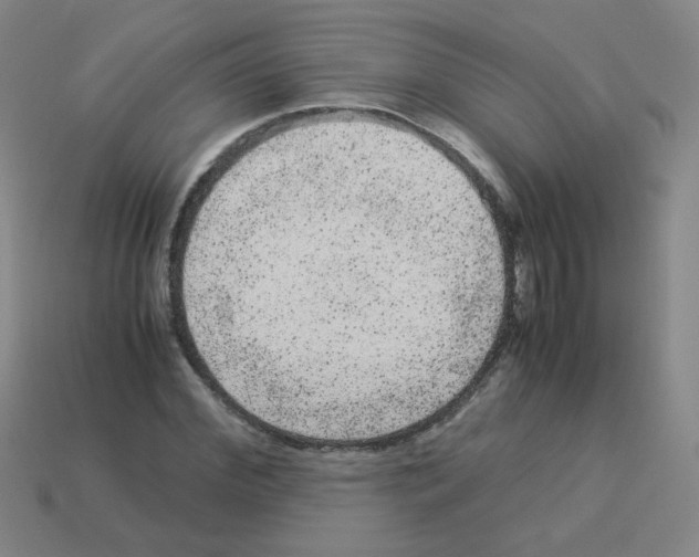 X0000113240972200910221057
