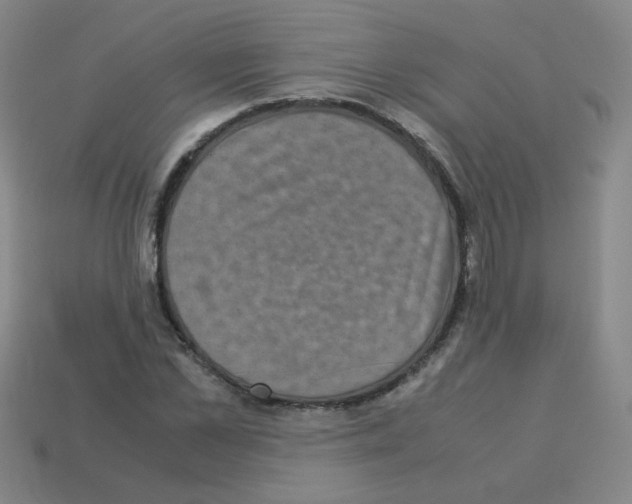 X0000113240973200910221057