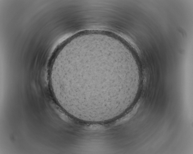 X0000113240974200910221057
