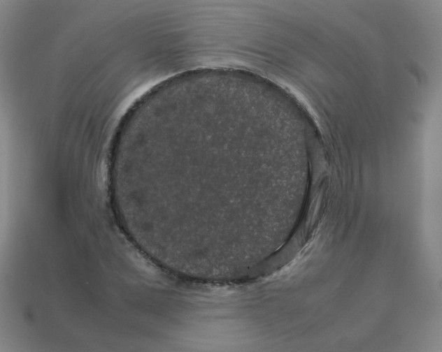 X0000113240975200910221057
