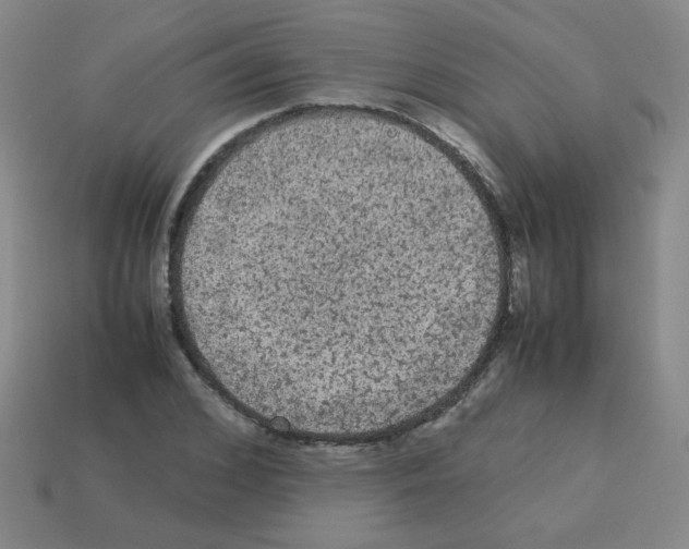 X0000113240976200910221057