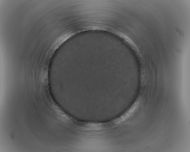 X0000113240977200910221057