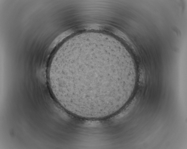 X0000113240978200910221057